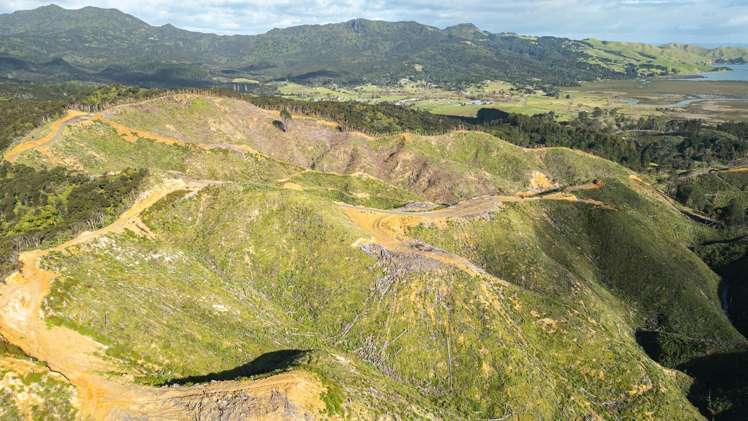 982B Manaia Road Coromandel_11