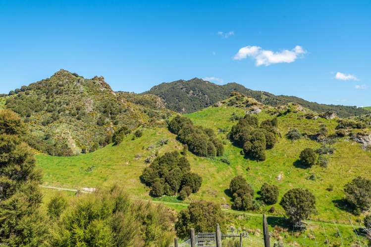 600 Hundalee Road Kaikoura_48