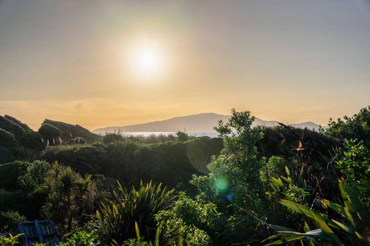 289 Peka Peka Road Peka Peka_18