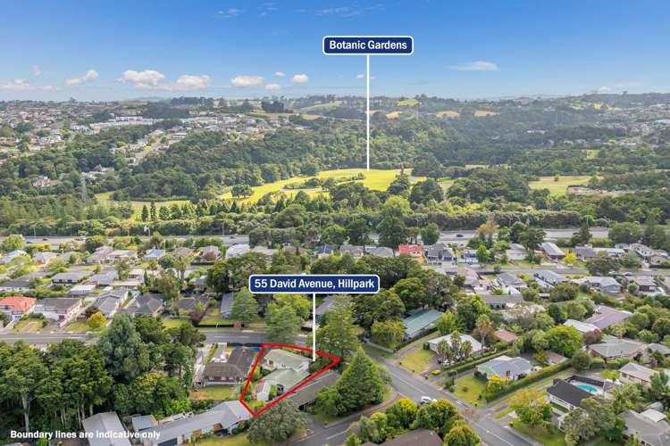 55 David Avenue Hillpark_13