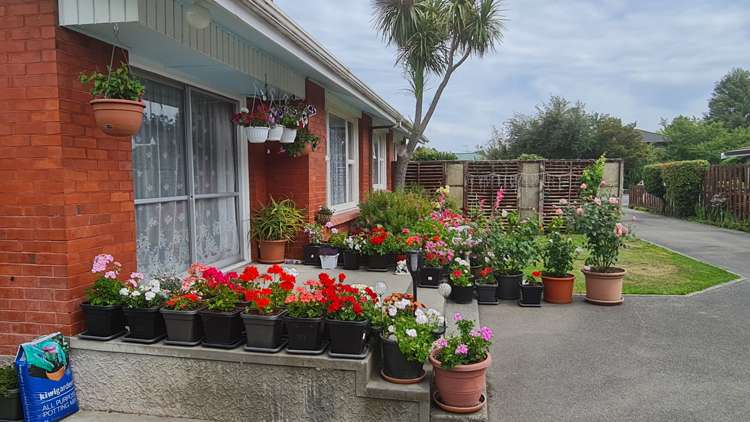 176 Harrison Street Allenton_13