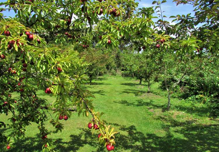 660 Taylorville Road Taylorville_22