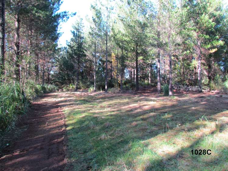 1028 A,B,C McIvor Road Rotoma_23