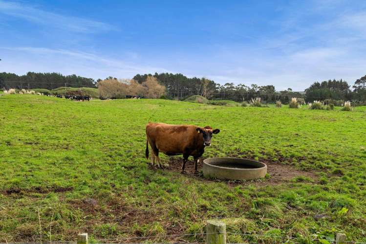294 Kiri Road Te Kiri_38
