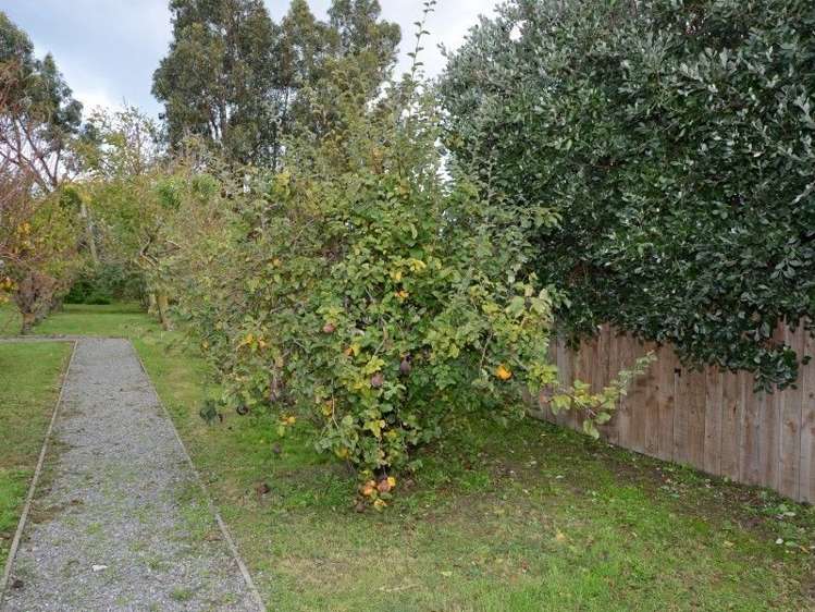 78 Dublin Street Martinborough_22