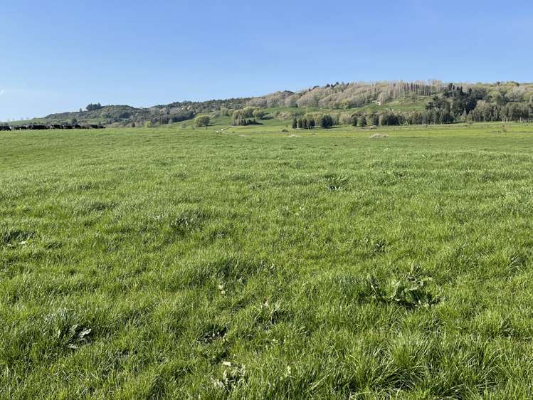 00 Whataroa Road Te Kuiti Waitomo Rural Property For Sale One Roof