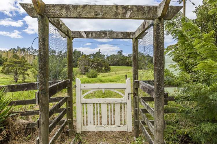 1037 Leigh Road Matakana_4