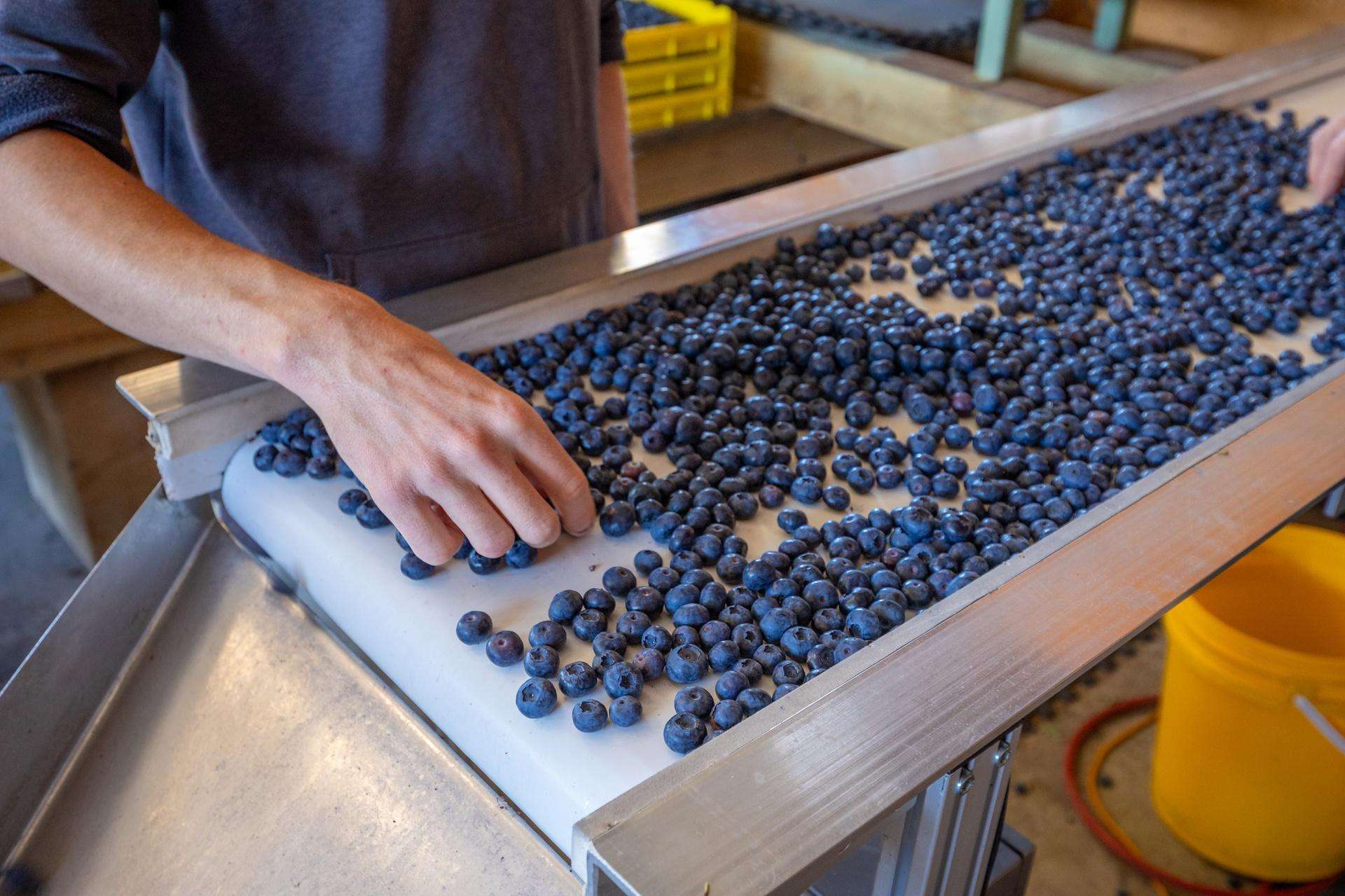 160 Tadmor Valley Road Tapawera_0