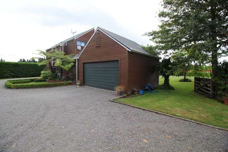 112 Calico Line Marton_64