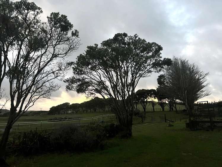 1265 Babylon Coast Road, Mamaranui Dargaville_29