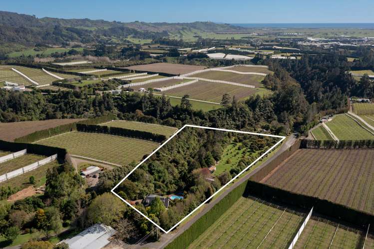 142 No 4 Road Te Puke_10