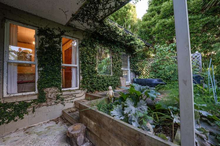 530 Dairy Flat Highway Dairy Flat_17