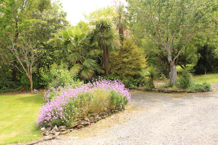 8 Banks Street Waihi_17