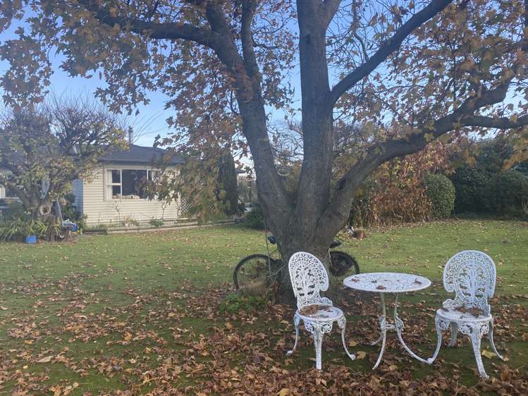 331 Kairanga Bunnythorpe Road Bunnythorpe_6