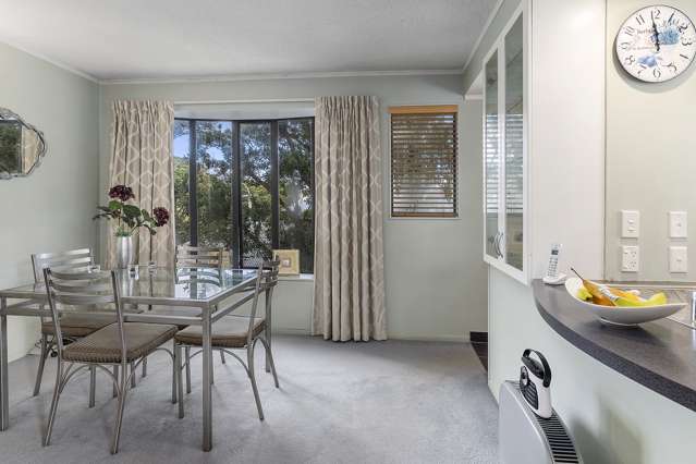 564d Adelaide Road Berhampore_2