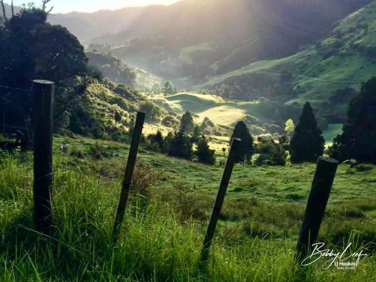 139 Warner Road Takahue_10