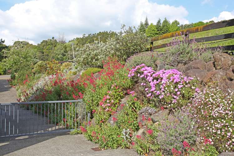 332 Macwhinney Drive Drury_21