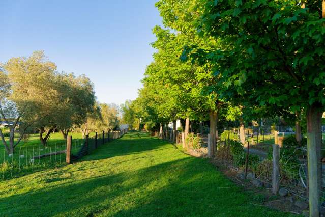 207 Lovers Lane Kaikoura_4
