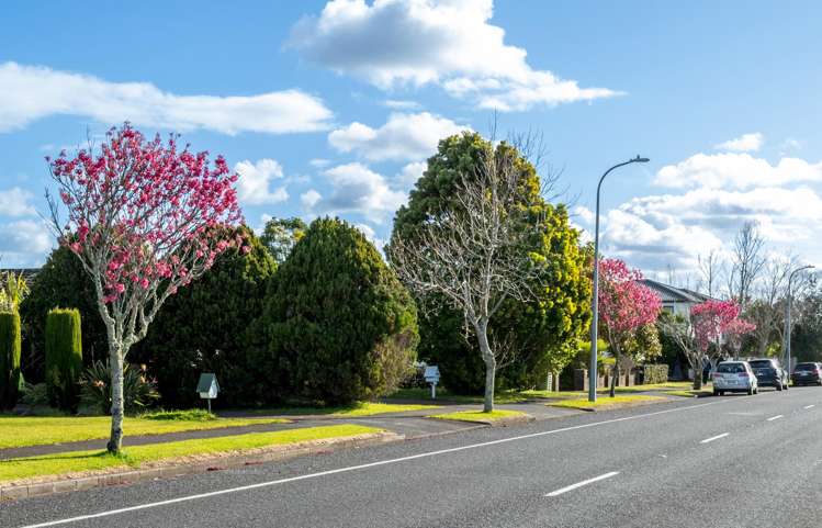 63 Frank Nobilo Drive Golflands_20