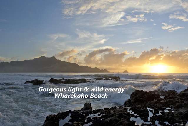 25 Ataahua Views Terrace Whitianga_3