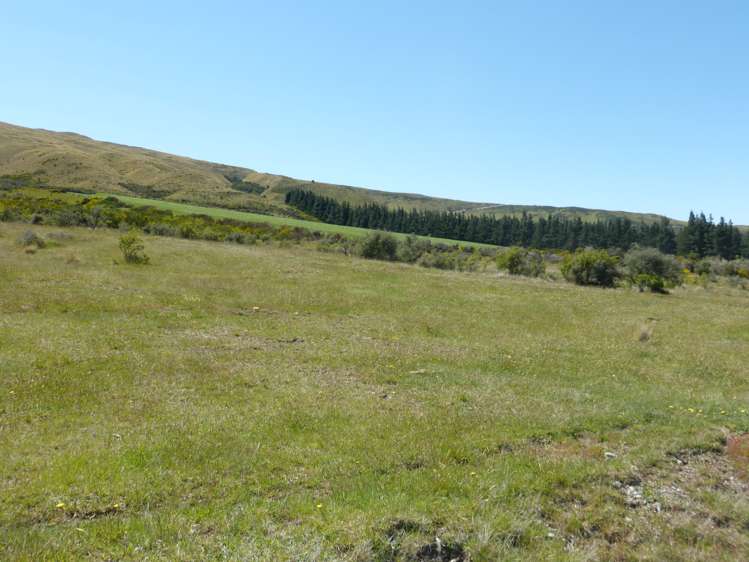 2131 Hakatere Potts Road Mesopotamia_5