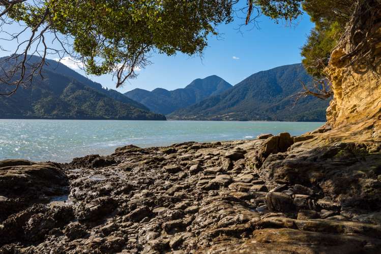 734 Moetapu Bay Road Anakiwa and Surrounds_14