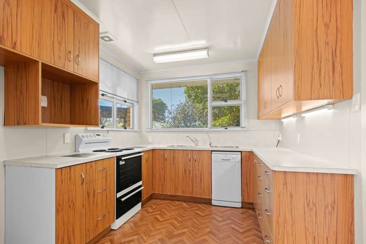 91 Manu Crescent Upper Vogeltown_8