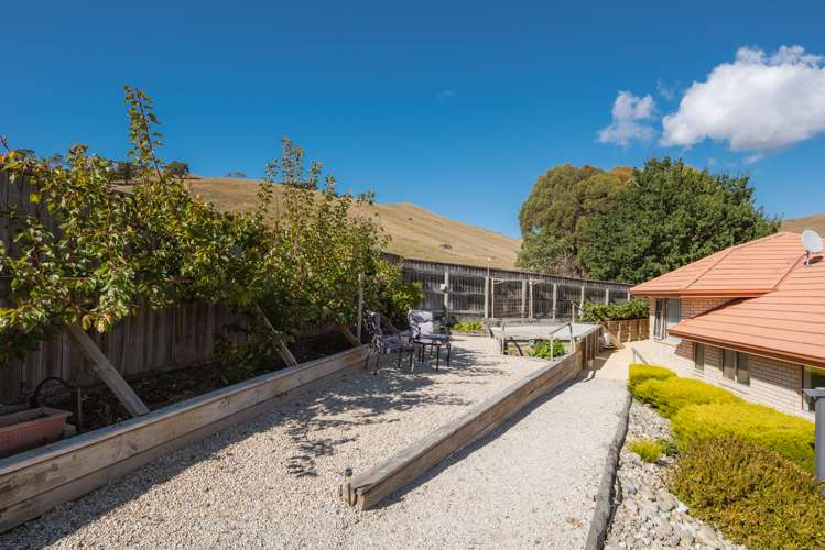 61 Forest Park Drive Witherlea_19