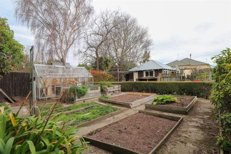 8 Preston Street West End_17