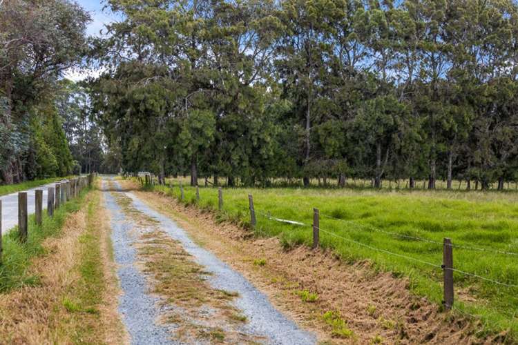 71 Jones Road Tawharanui Peninsula_22