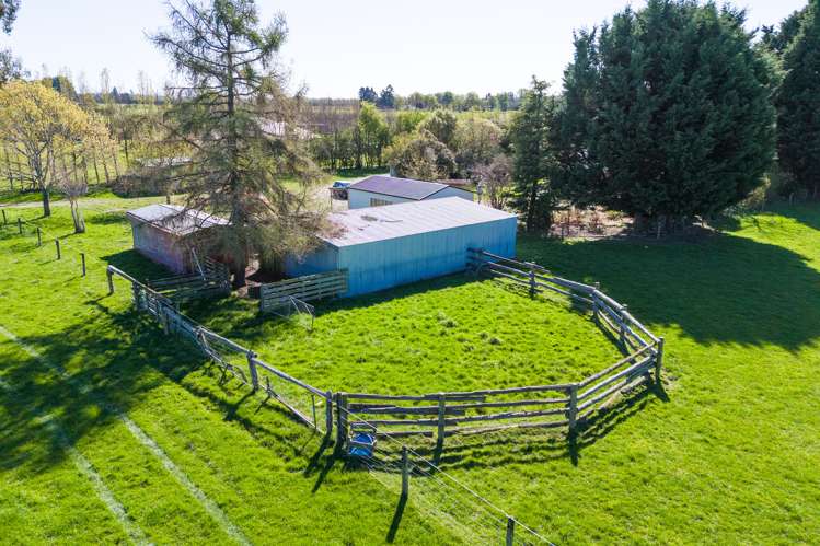 99 Templer Street Geraldine_25