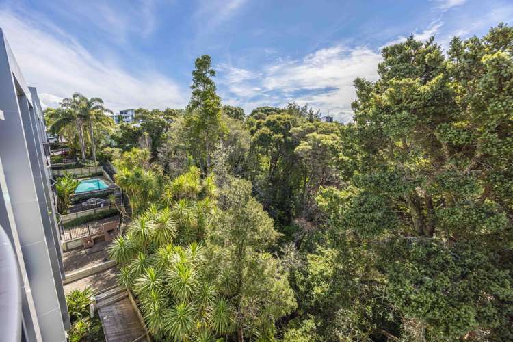 52/241 Hinemoa Street Birkenhead_8