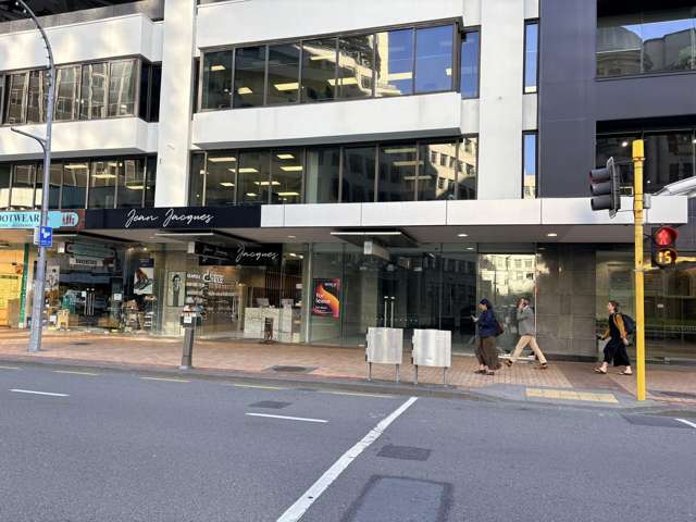 Ground 3/152 Lambton Quay Wellington Central_3
