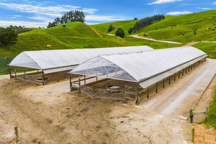 901 Pukehuia Road Tangiteroria_13