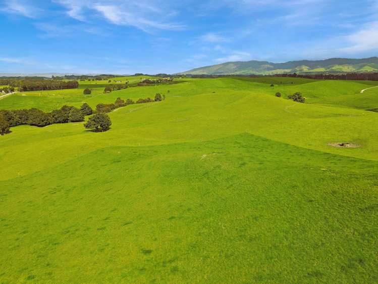 268 Kiritaki Road Dannevirke_17