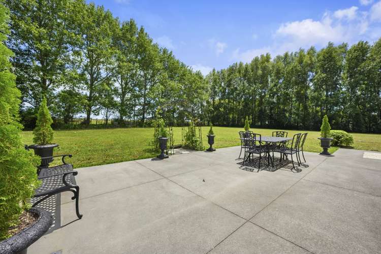 295 Postman Road Dairy Flat_7