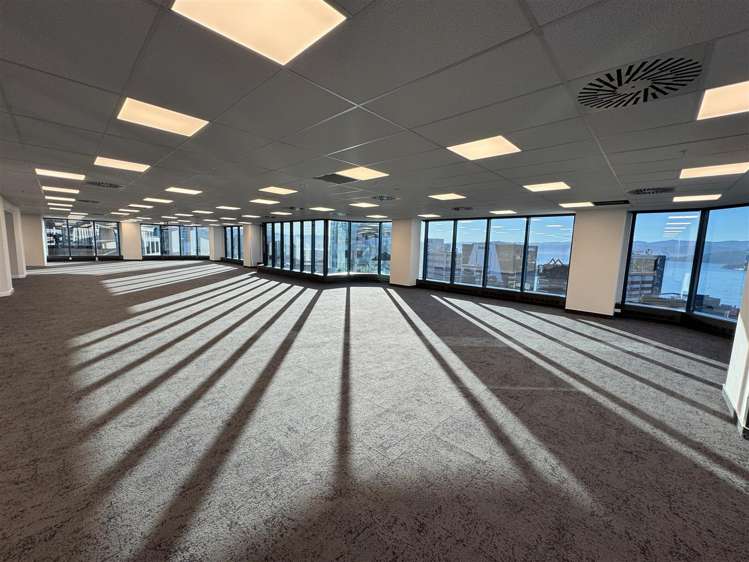Level 17, 125 The Terrace_0