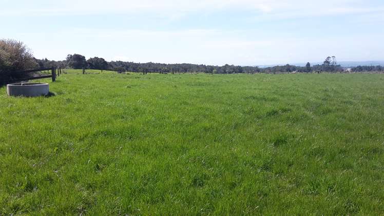 503 York Road Midhirst_5