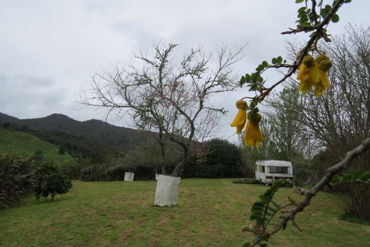 494 Waitekauri Road Waikino_9