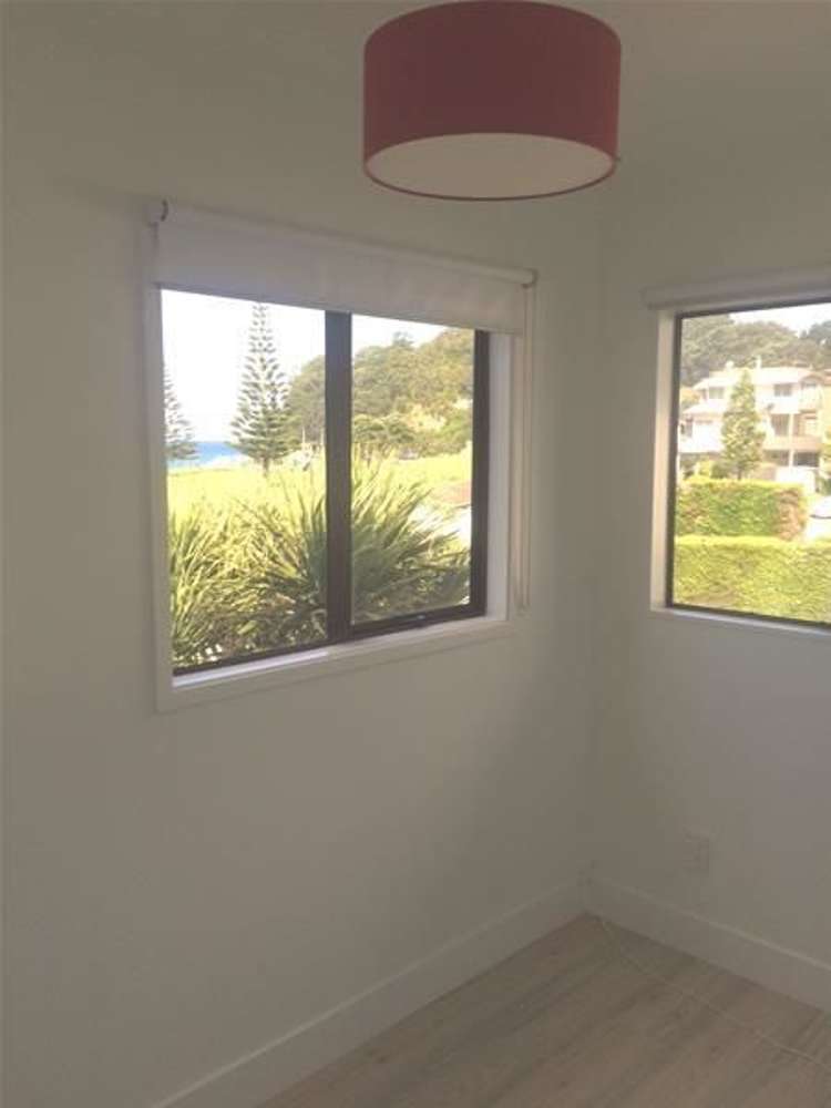 224 Onemana Drive Onemana_17