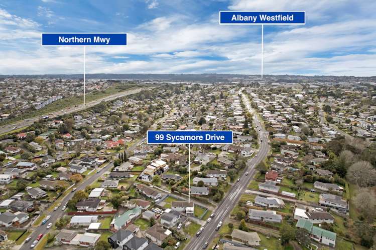 99 Sycamore Drive Sunnynook_29