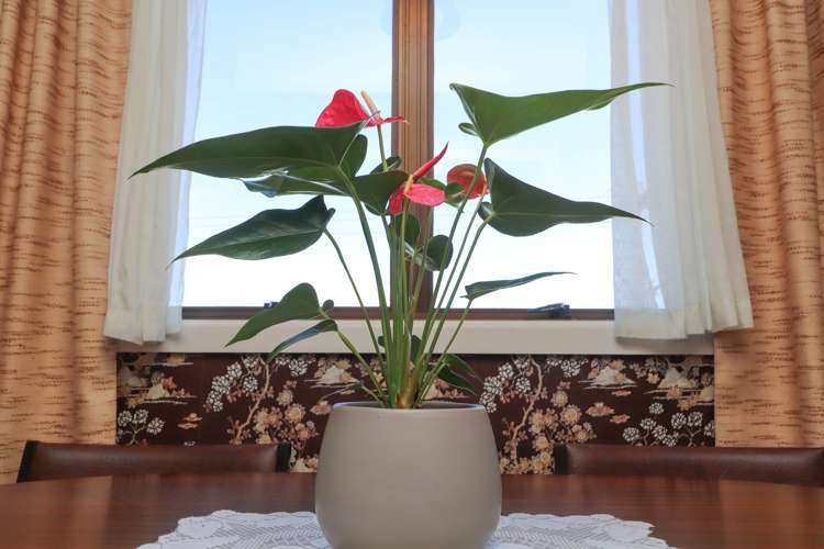 14 Hazlett Road Te Mata_20