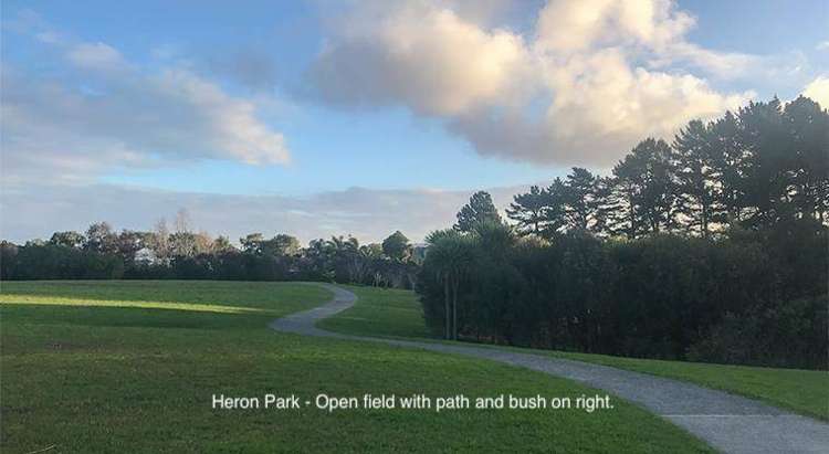 4/14 Blockhouse Bay Road Avondale_18