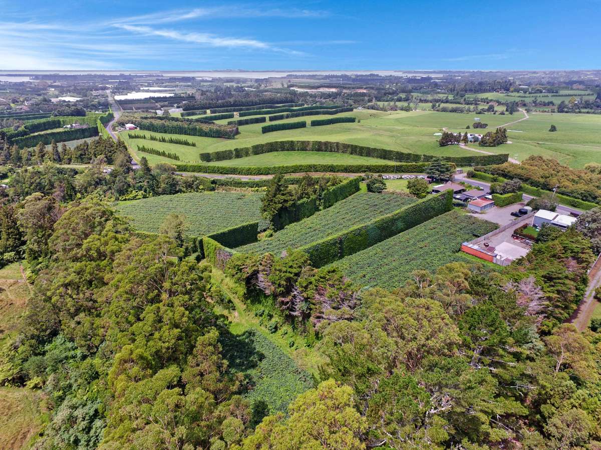 186 Lockington Road_3