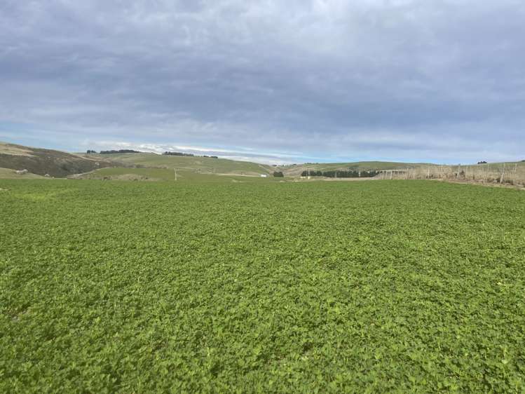 968 Wallaces Ford Road Hindon_3