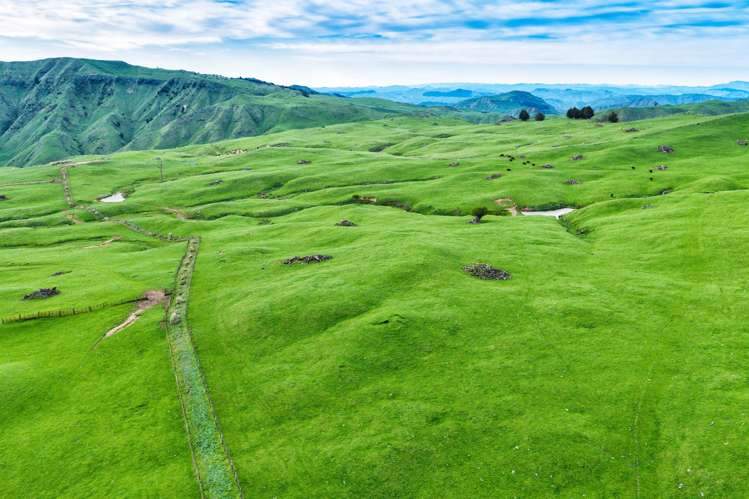 439 Rakauroa Road Matawai_17