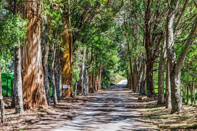 273 Mapara Road Acacia Bay_2