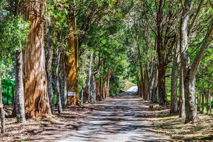 273 Mapara Road Acacia Bay_2