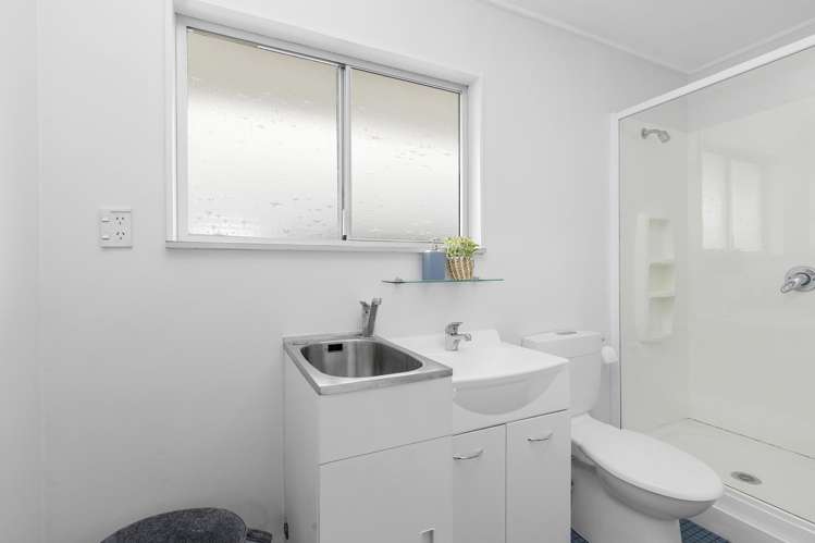 3E Manchester Street Petone_12