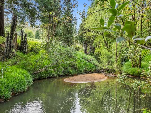 80 Tunnel Road Puhoi_2